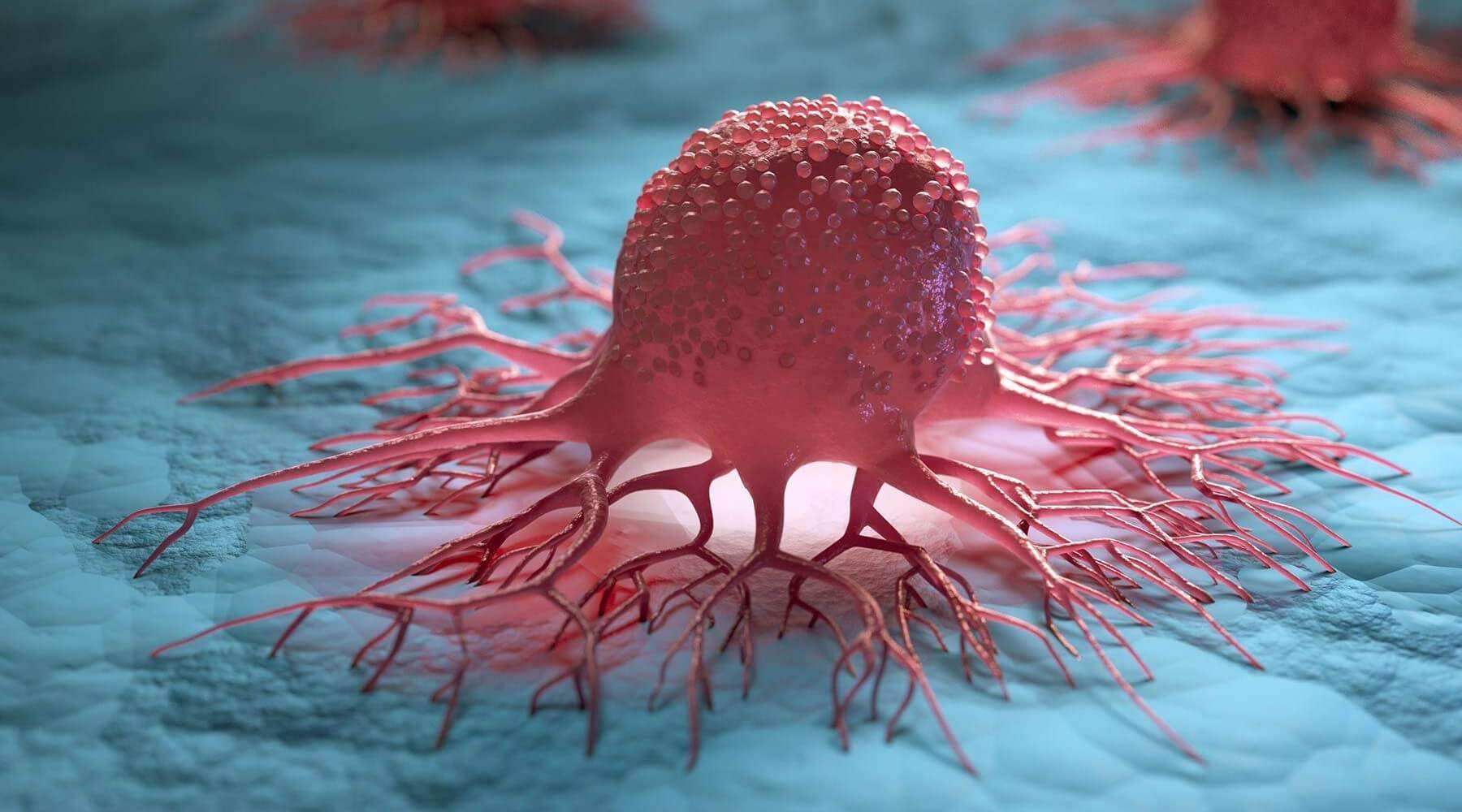 CBD for tumours and cancer treatment - Oxocan