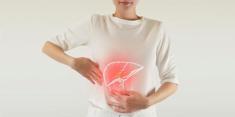Will CBD Hurt My Liver? - Oxocan