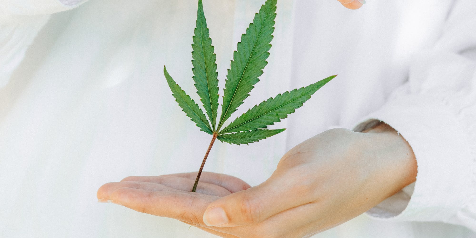 Health tips and the benefits CBD - Oxocan