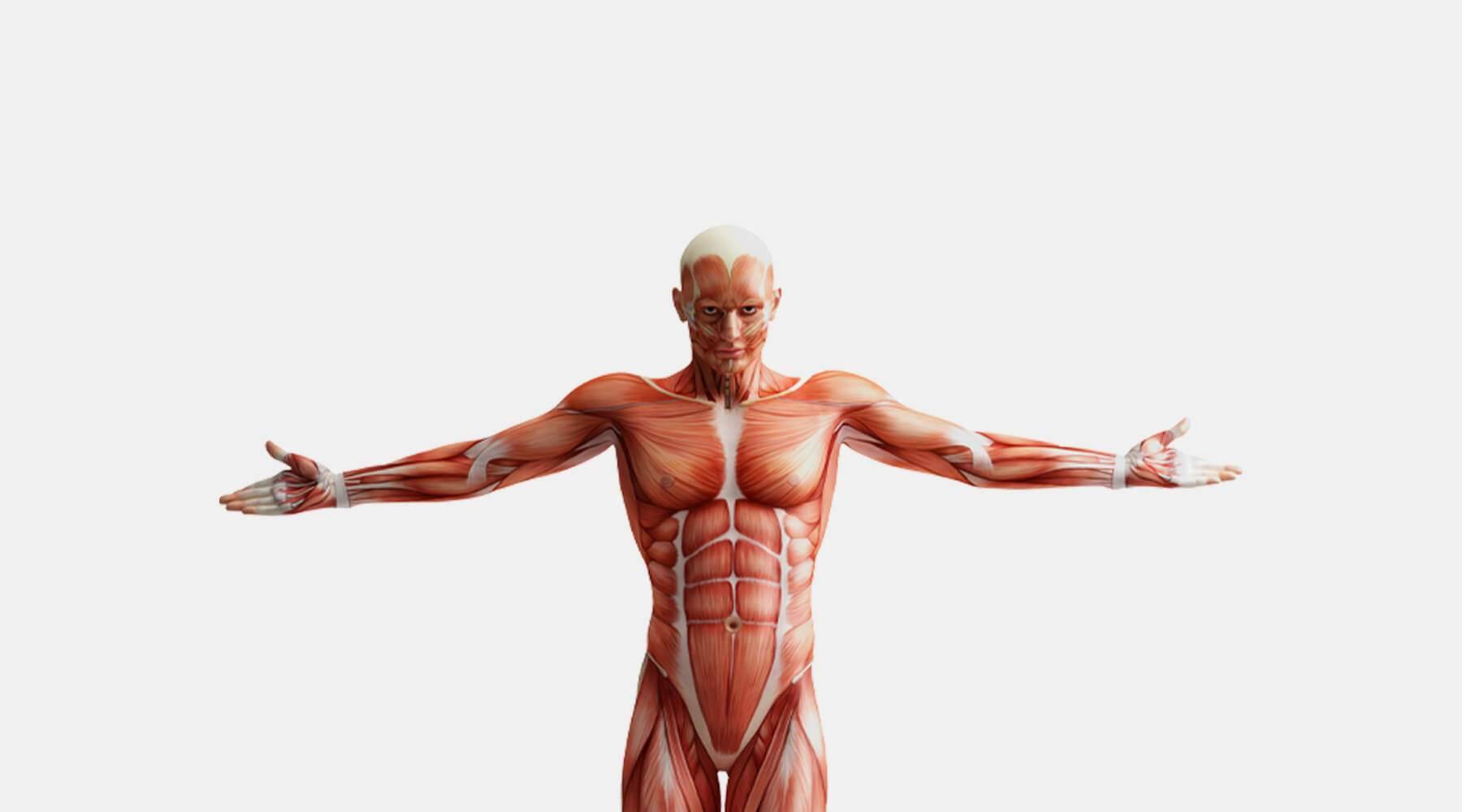 What is CBD and how does it work? - Oxocan