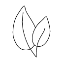 Oxocan organic CBD oils and cbd candles