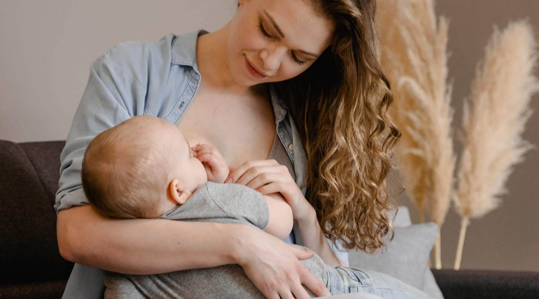 CBD during pregnancy or breastfeeding Oxocan 